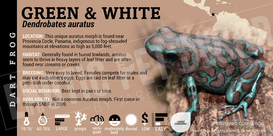 Dendrobates auratus 'Green And White' Dart Frog Label