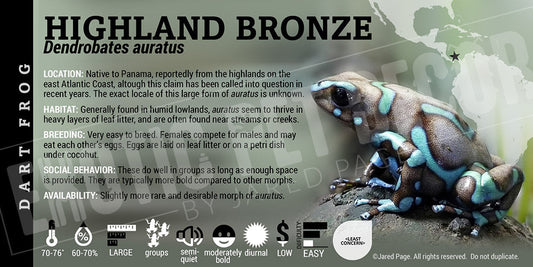 Dendrobates auratus 'Highland Bronze' Dart Frog Label