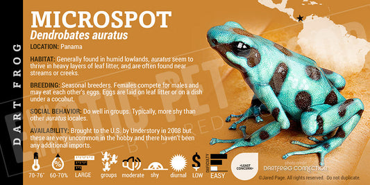 Dendrobates auratus 'Microspot' Dart Frog Label