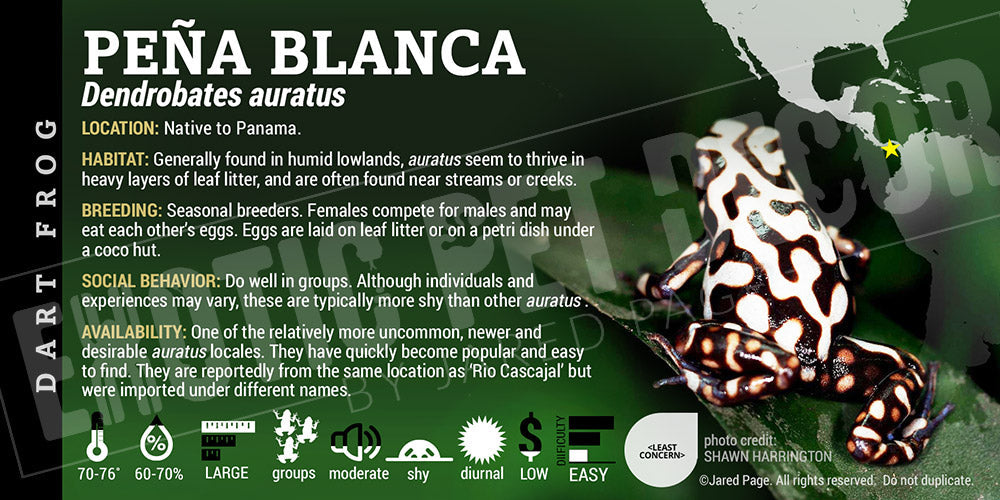 Dendrobates auratus 'Pena Blanca' Dart Frog Label