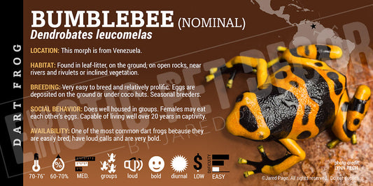 Dendrobates leucomelas 'Bumblebee' Dart Frog Label