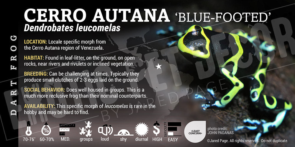 Dendrobates leucomelas 'Cerro Autana' Dart Frog Label