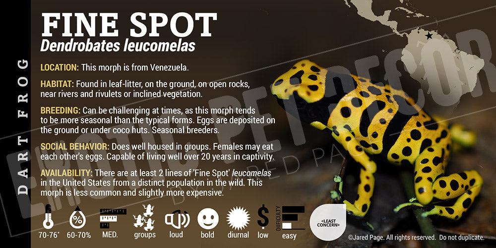 Dendrobates leucomelas 'Finespot' Dart Frog Label