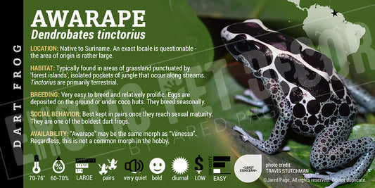 Dendrobates tinctorius 'Awarape' Dart Frog Label