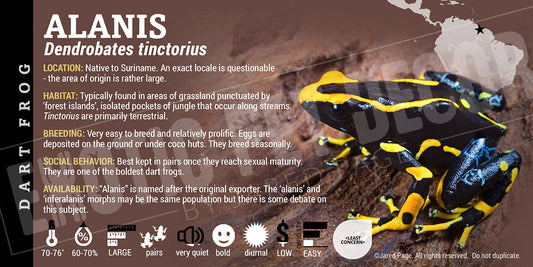 Dendrobates tinctorius 'Alanis' Dart Frog Label