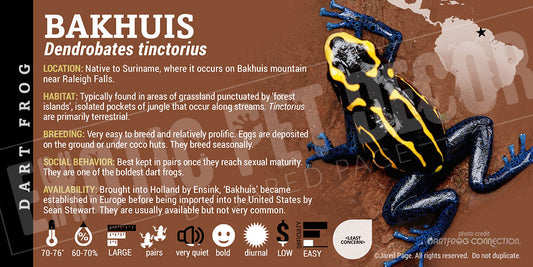 Dendrobates tinctorius 'Bakhuis' Dart Frog Label