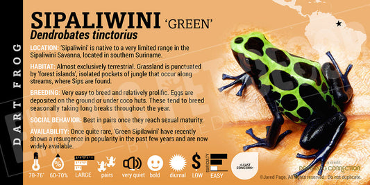 Dendrobates tinctorius 'Sipaliwini Green' Dart Frog Label