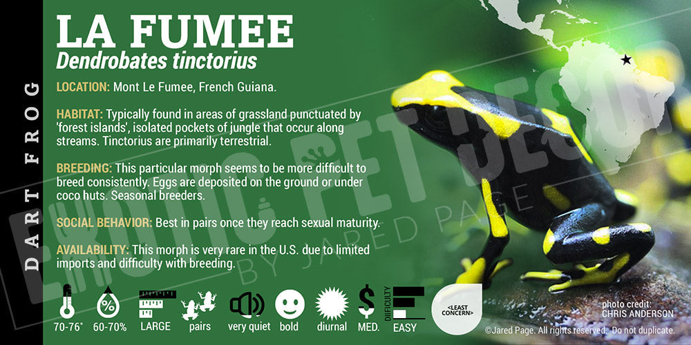 Dendrobates tinctorius 'La Fumee' Dart Frog Label