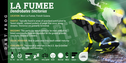 Dendrobates tinctorius 'La Fumee' Dart Frog Label