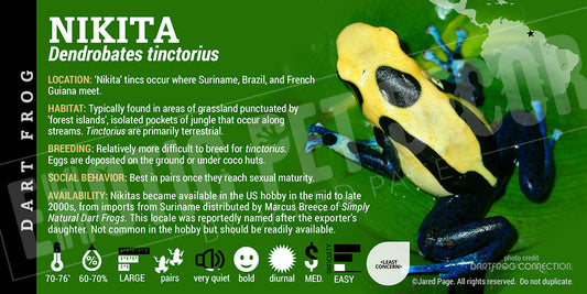 Dendrobates tinctorius 'Nikita' Dart Frog Label