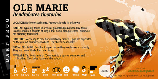 Dendrobates tinctorius 'Ole Marie' Dart Frog Label