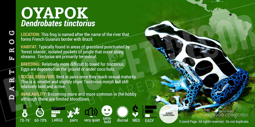 Dendrobates tinctorius 'Oyapok' Dart Frog Label