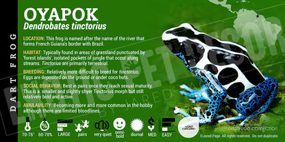 Dendrobates tinctorius 'Oyapok' Dart Frog Label