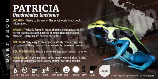 Dendrobates tinctorius 'Patricia' Dart Frog Label