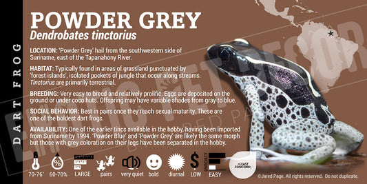 Dendrobates tinctorius 'Powder Grey' Dart Frog Label