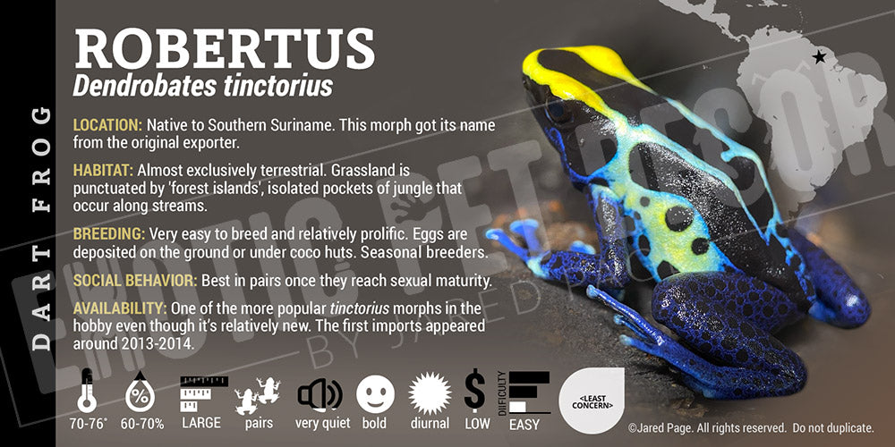 Dendrobates tinctorius 'Robertus' Dart Frog Label