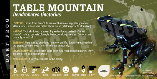 Dendrobates tinctorius 'Table Mountain' Dart Frog Label