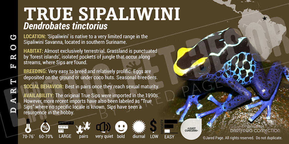 Dendrobates tinctorius 'True Sip' Dart Frog Label