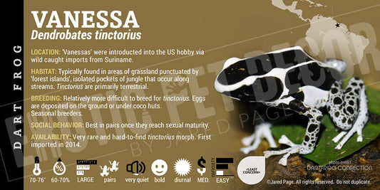 Dendrobates tinctorius 'Vanessa' Dart Frog Label