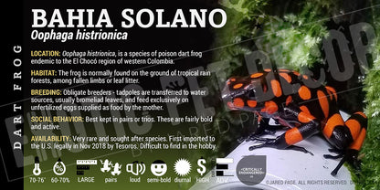 Oophaga histrionica 'Bahia Solano' Dart Frog Label