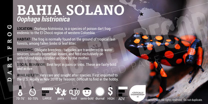 Oophaga histrionica 'Bahia Solano' Dart Frog Label