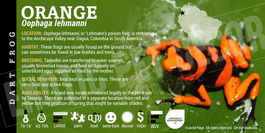 Oophaga lehmanni 'Orange' Dart Frog Label