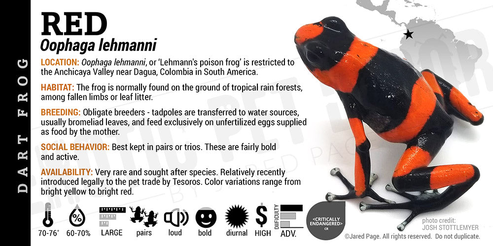 Oophaga lehmanni 'Red' Dart Frog Label