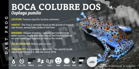 Oophaga pumilio 'Boca Colubre Dos' Dart Frog Label