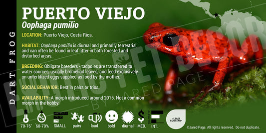 Oophaga pumilio 'Puerto Viejo' Dart Frog Label