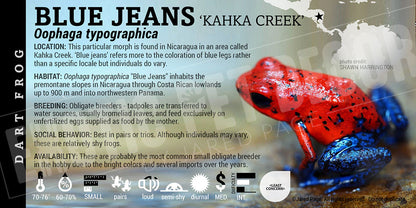 Oophaga typographica (pumilio) 'Blue Jeans' Dart Frog Label