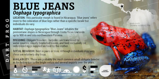 Oophaga typographica (pumilio) 'Blue Jeans' Dart Frog Label