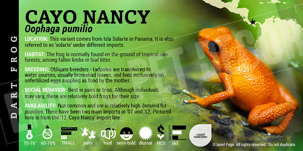 Oophaga pumilio 'Cayo Nancy' Dart Frog Label