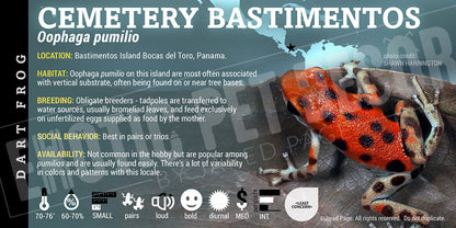 Oophaga pumilio 'Cemetery Bastimentos' Dart Frog Label