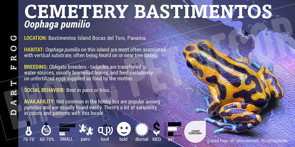 Oophaga pumilio 'Cemetery Bastimentos' Dart Frog Label