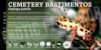 Oophaga pumilio 'Cemetery Bastimentos' Dart Frog Label