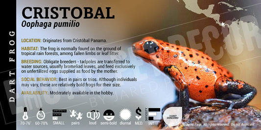 Oophaga pumilio 'Cristobal' Dart Frog Label