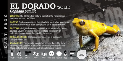 Oophaga pumilio 'El Dorado' Dart Frog Label