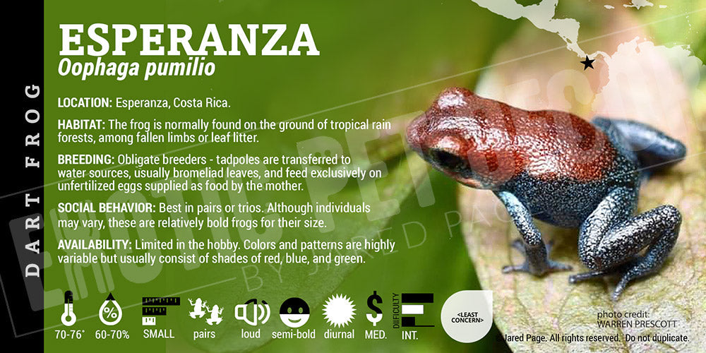 Oophaga pumilio 'Esperanza' Dart Frog Label