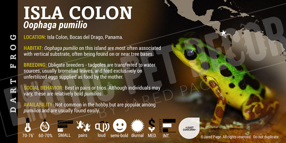 Oophaga pumilio 'Isla Colon' Dart Frog Label