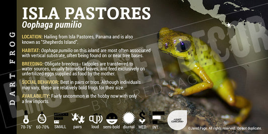 Oophaga pumilio 'Isla Pastores' Dart Frog Label