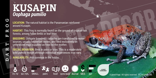 Oophaga pumilio 'Kusapin' Dart Frog Label