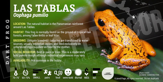 Oophaga pumilio 'Las Tablas' Dart Frog Label