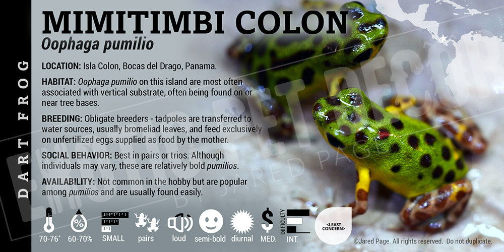 Oophaga pumilio 'Mimitimbi Colon' Dart Frog Label