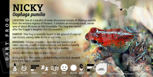 Oophaga pumilio 'Nicky' Dart Frog Label