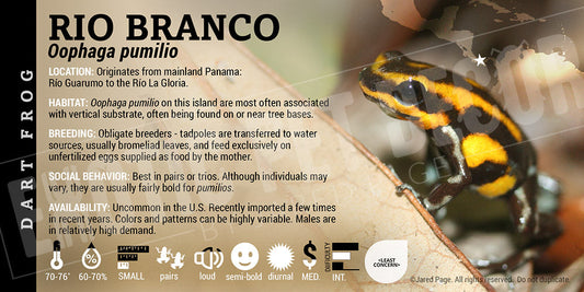 Oophaga pumilio 'Rio Branco' Dart Frog Label