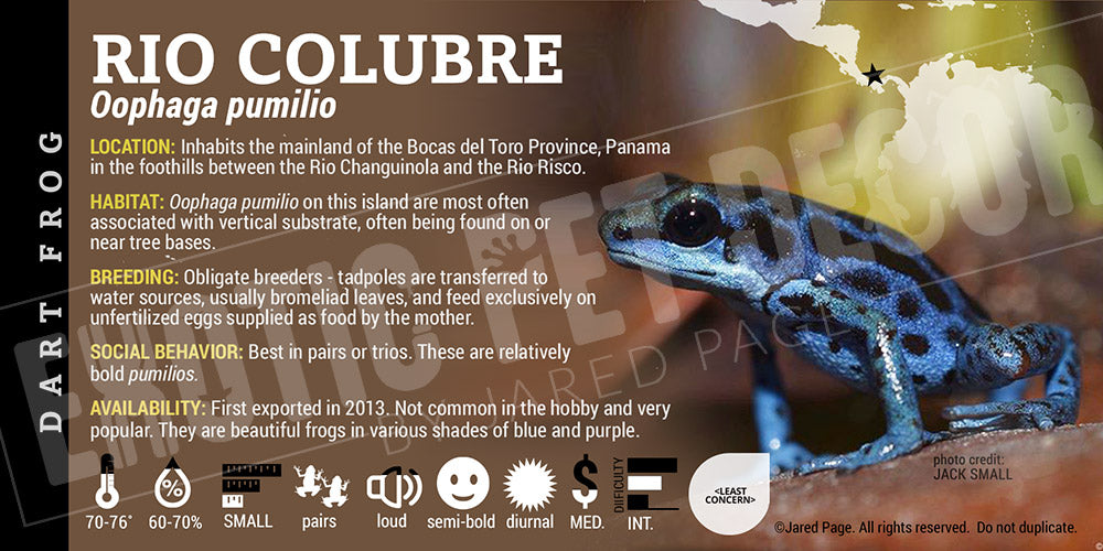 Oophaga pumilio 'Rio Colubre' Dart Frog Label