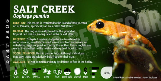 Oophaga pumilio 'Salt Creek' Dart Frog Label