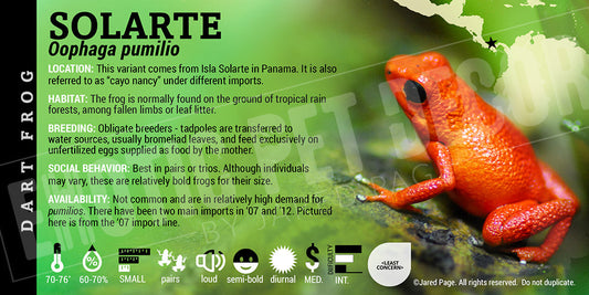 Oophaga pumilio 'Solarte' Dart Frog Label