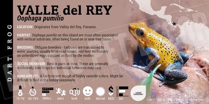 Oophaga pumilio 'Valle Del Rey' Dart Frog Label