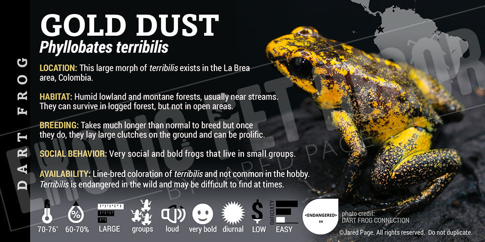 Phyllobates terribilis 'Gold Dust Terribilis' Dart Frog Label